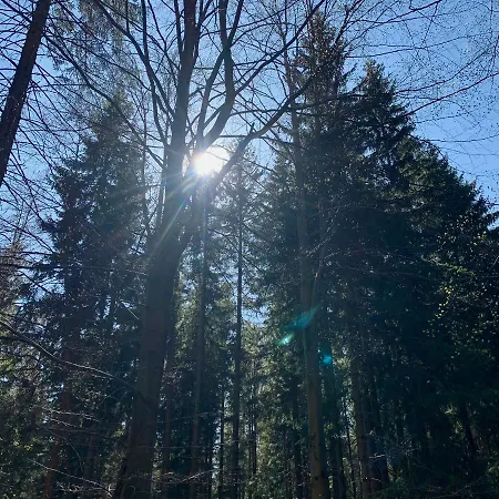 בקתה Roubenka U Potoka Jizerske Hory Desná